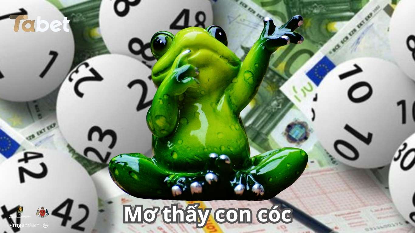 Giải mã giấc mơ thấy con cóc